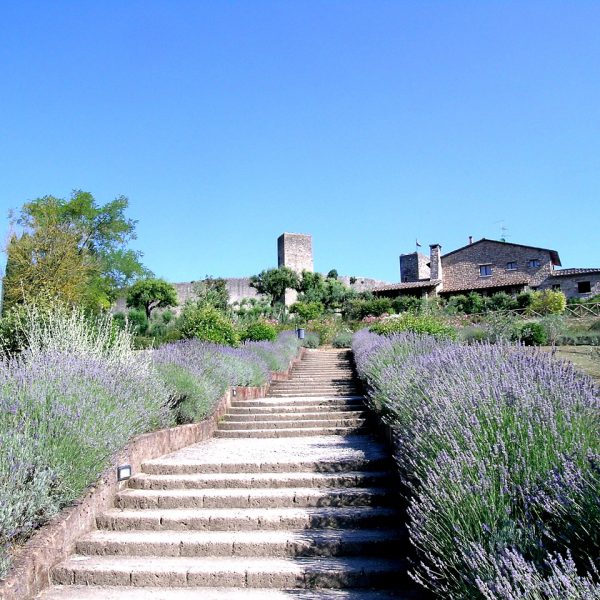 Que voir en Toscane?